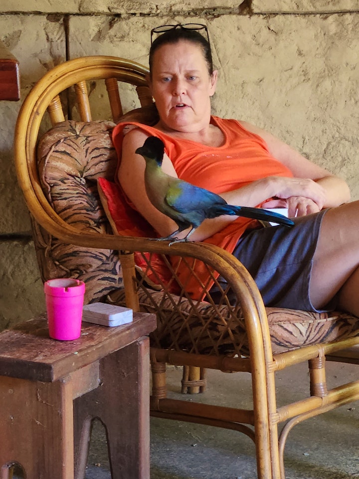 Mpumalanga Accommodation at Kifaru Kruger | Viya