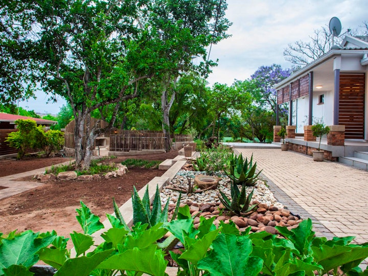 Mpumalanga Accommodation at The Coral Tree | Viya