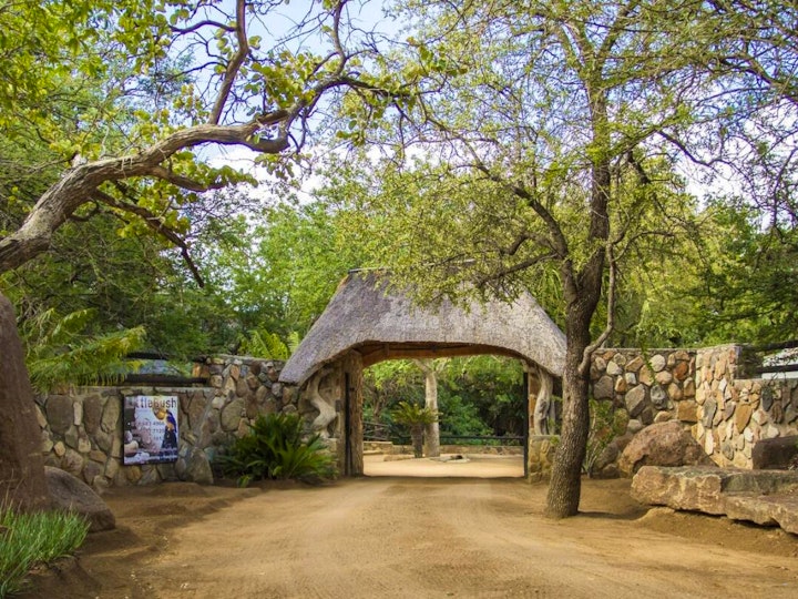 Limpopo Accommodation at LittleBush Private Lodge | Viya