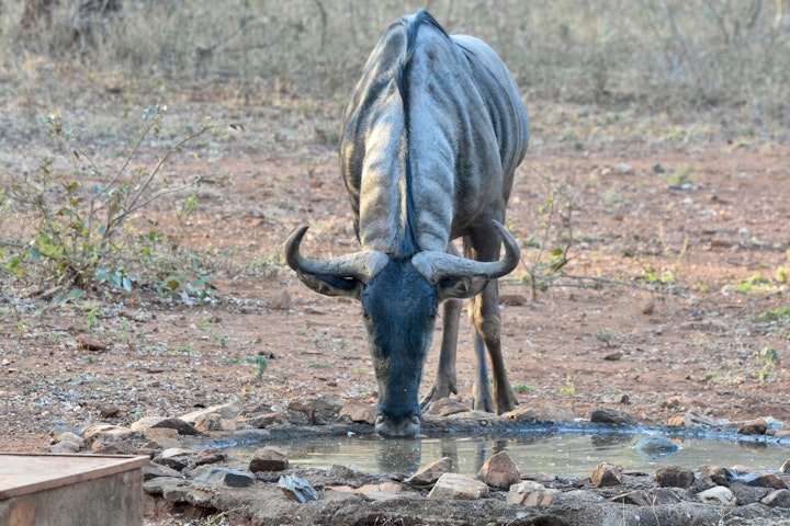 Kruger National Park South Accommodation at Intundla's Rest | Viya