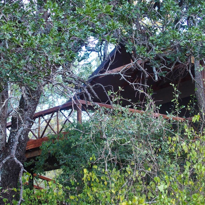 Mpumalanga Accommodation at Lion Tree Top Lodge | Viya