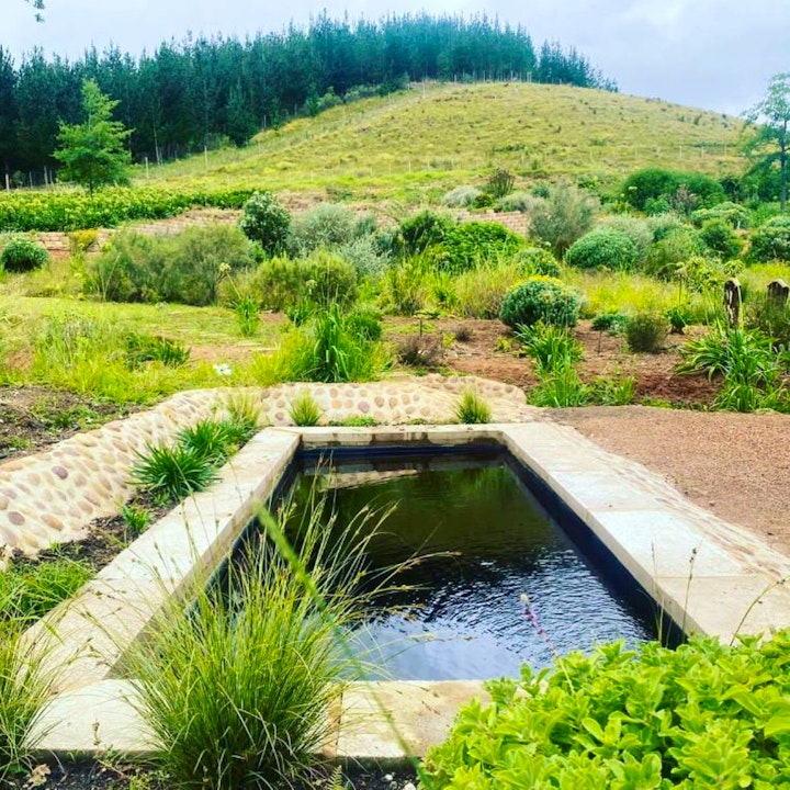 Overberg Accommodation at The Glen Stud Farm | Viya