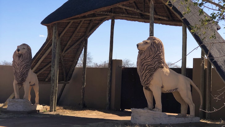  at Simba Safaris African Pride | TravelGround