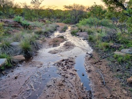 Limpopo Accommodation at Skurwebank Lodge | Viya