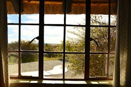 Northern Cape Accommodation at Uncle Tony’s Cabin | Viya