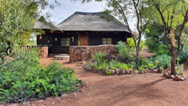 Dinokeng Game Reserve Accommodation at Mooiplasie Bush Camp | Viya