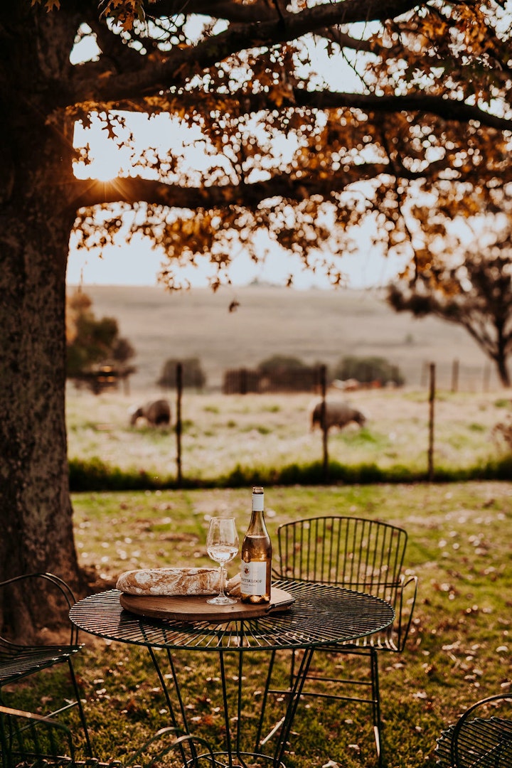 Loskop Valley Accommodation at Sorgenfri | Viya