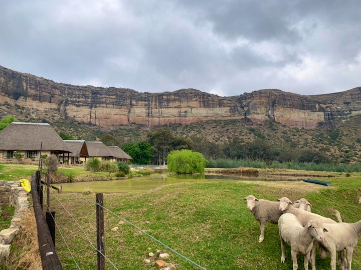 Mpumalanga Accommodation at Lesoba Guest Farm | Viya