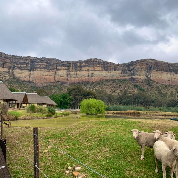Mpumalanga Accommodation at Lesoba Guest Farm | Viya