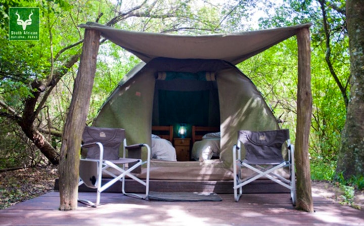 Eastern Cape Accommodation at SANParks Addo Narina Bush Camp | Viya