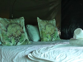 Overberg Accommodation at  | Viya