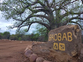 Limpopo Accommodation at Nthakeni Bush & River Cottages | Viya