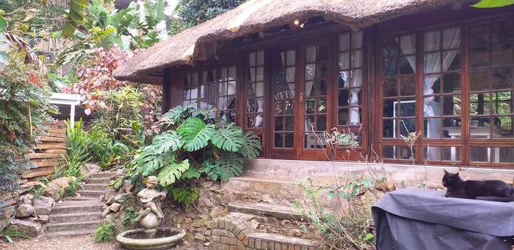 KwaZulu-Natal Accommodation at Thrush Nest Self-catering | Viya
