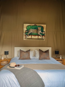 Cape Winelands Accommodation at Grysbokkloof Private Nature Reserve | Viya