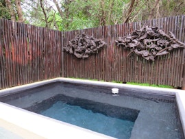 Kruger National Park South Accommodation at  | Viya