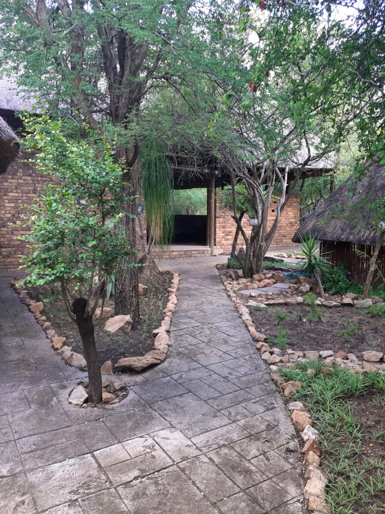 Kruger National Park South Accommodation at  | Viya