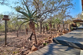 Kruger National Park South Accommodation at  | Viya