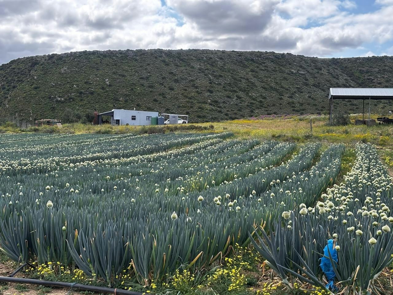 Gamtoosberg Cottage image no 41 of 41