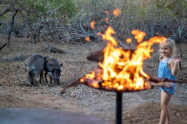 Kruger National Park South Accommodation at  | Viya