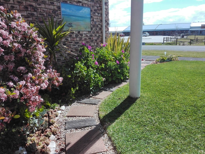 Western Cape Accommodation at Blue Whale | Viya