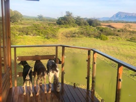 Overberg Accommodation at Rivers End Farm | Viya