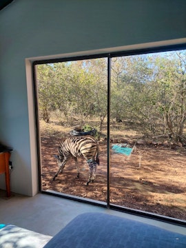 Kruger National Park South Accommodation at Kiri-Rus | Viya