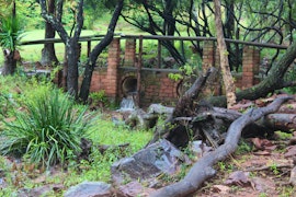 Waterberg Accommodation at  | Viya