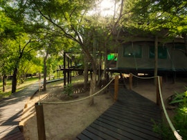 Kruger To Canyons Accommodation at Camp Bethel | Viya