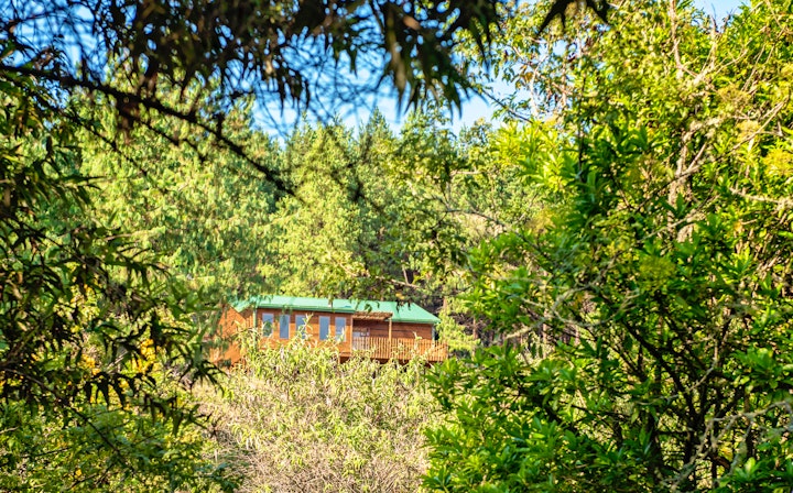 Magoebaskloof Accommodation at Stanford Lake Lodge | Viya