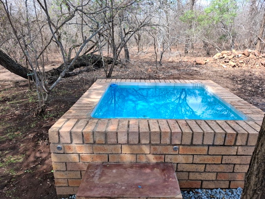 Kruger National Park South Accommodation at  | Viya