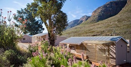 Western Cape Accommodation at Cederberg Algeria - Grey Rhebok | Viya