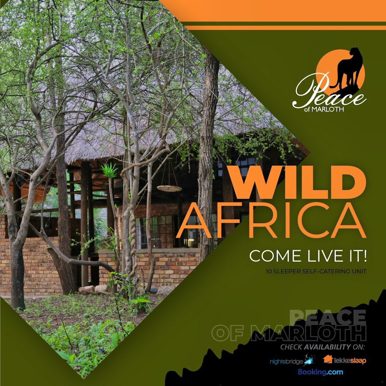 Kruger National Park South Accommodation at  | Viya