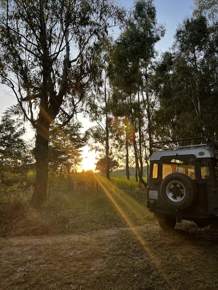 Free State Accommodation at De Hoop Forest Camp | Viya