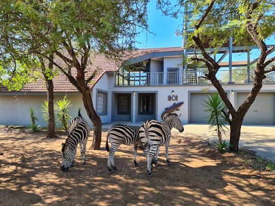 Kruger National Park South Accommodation at  | Viya