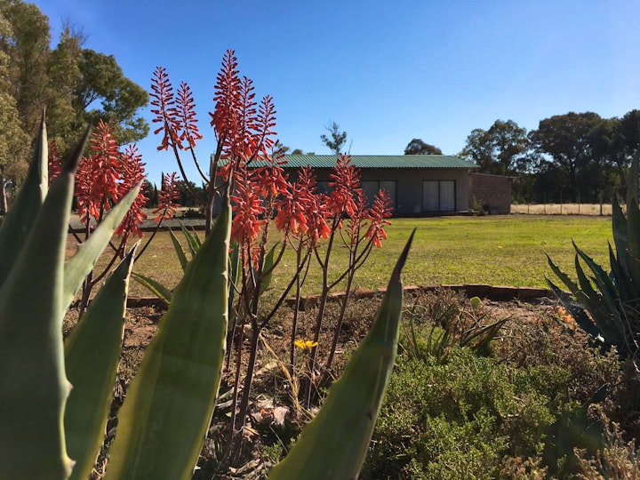 Northern Cape Accommodation at Little Farms | Viya