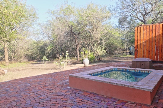 Kruger National Park South Accommodation at  | Viya