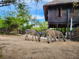 Kruger National Park South Accommodation at Amare Cabin | Viya