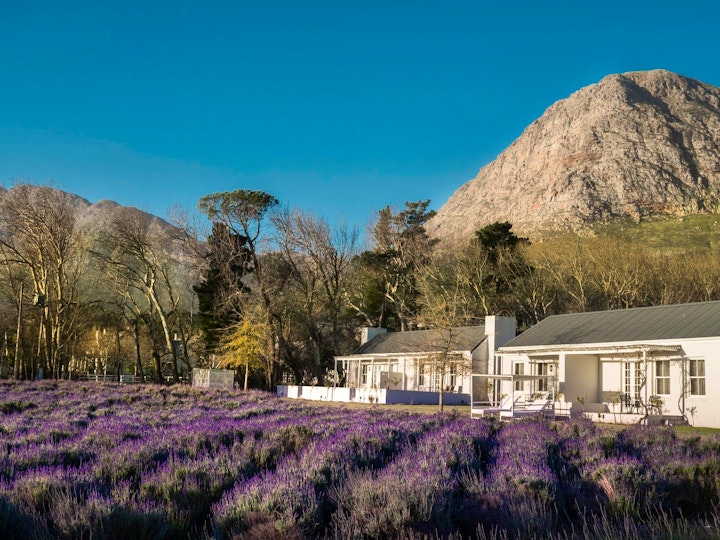 Western Cape Accommodation at Lavender Farm Guest House | Viya