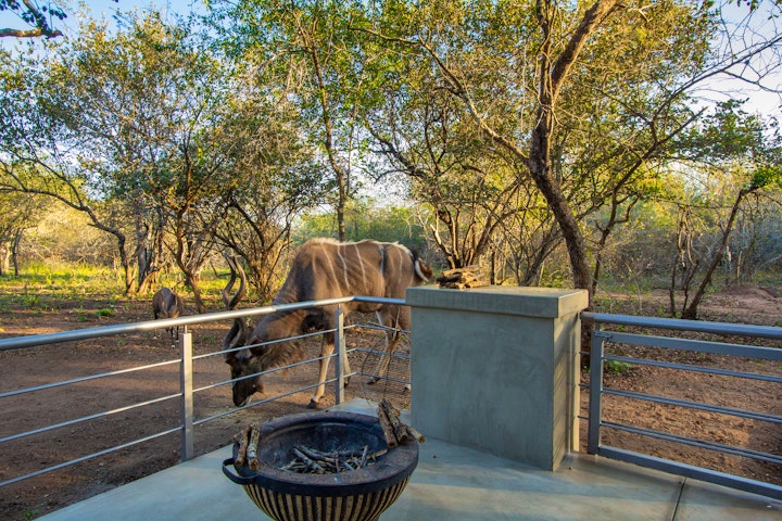 Mpumalanga Accommodation at Kruger's Keep | Viya