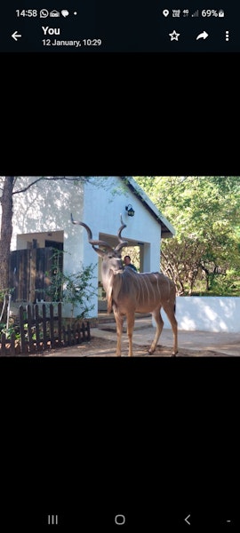 Kruger National Park South Accommodation at  | Viya