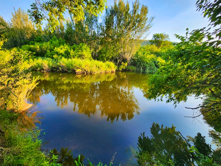 Loskop Valley Accommodation at Wilge River Bush Camp | Viya