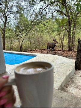 Kruger National Park South Accommodation at Bushbuck Rest | Viya