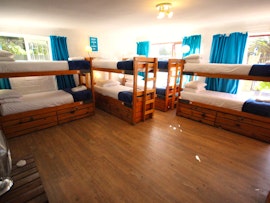 Bloubergstrand Accommodation at  | Viya