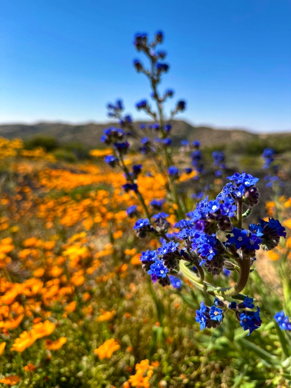 Namaqualand Accommodation at  | Viya