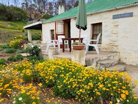 Garden Route Accommodation at  | Viya