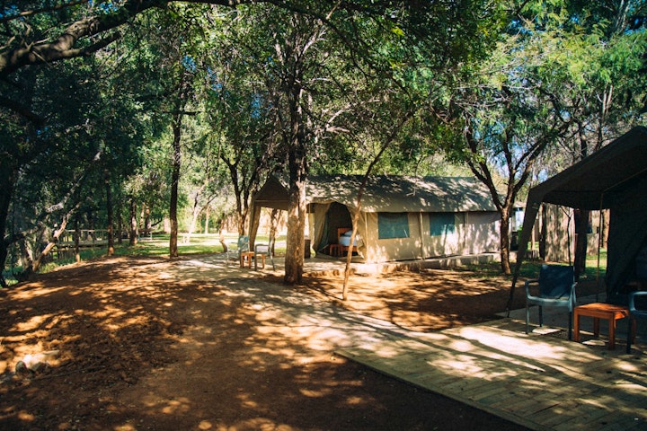 Limpopo Accommodation at Mazunga Tented Camp | Viya