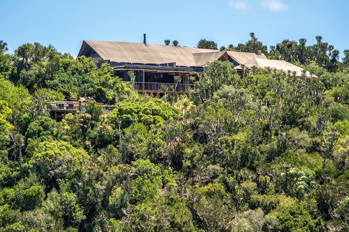 Eastern Cape Accommodation at Kariega Game Reserve - Settlers Drift Luxury Tented Lodge | Viya