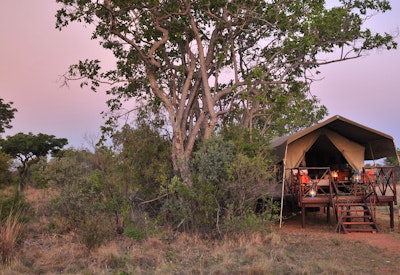  at Kwafubesi Tented Safari Camp | TravelGround