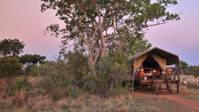  by Kwafubesi Tented Safari Camp | LekkeSlaap