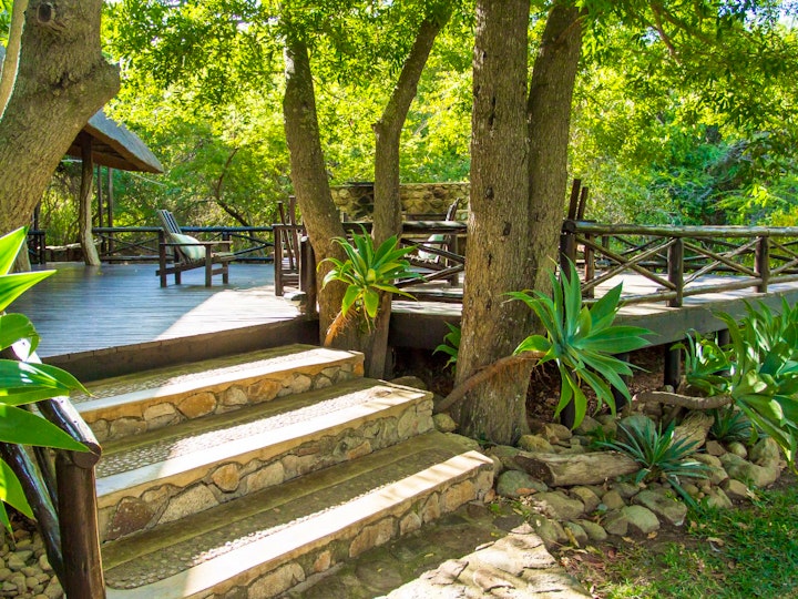 Kruger To Canyons Accommodation at LittleBush Private Lodge | Viya